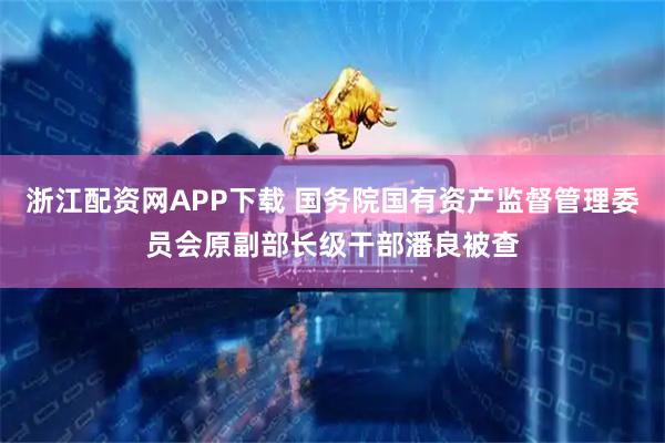 浙江配资网APP下载 国务院国有资产监督管理委员会原副部长级干部潘良被查