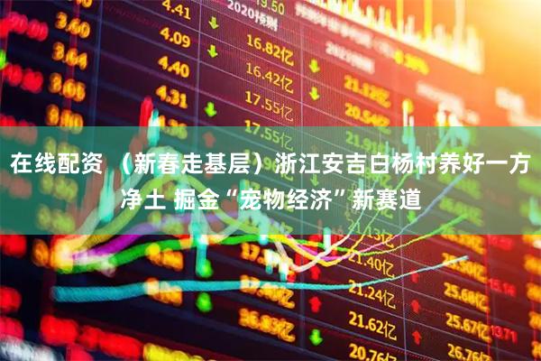 在线配资 （新春走基层）浙江安吉白杨村养好一方净土 掘金“宠物经济”新赛道