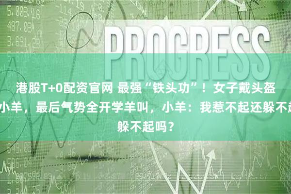 港股T+0配资官网 最强“铁头功”！女子戴头盔对撞小羊，最后气势全开学羊叫，小羊：我惹不起还躲不起吗？