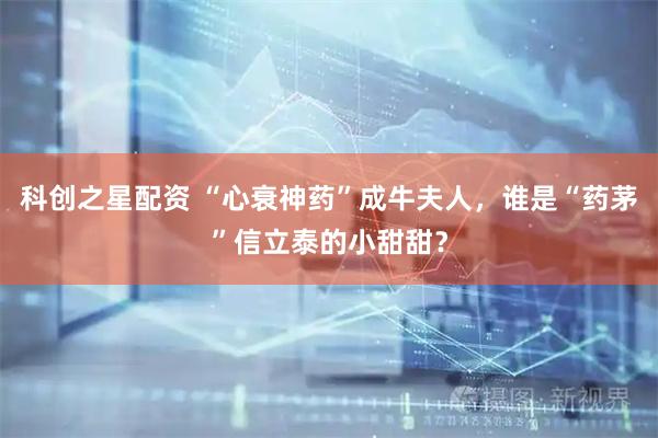 科创之星配资 “心衰神药”成牛夫人，谁是“药茅”信立泰的小甜甜？